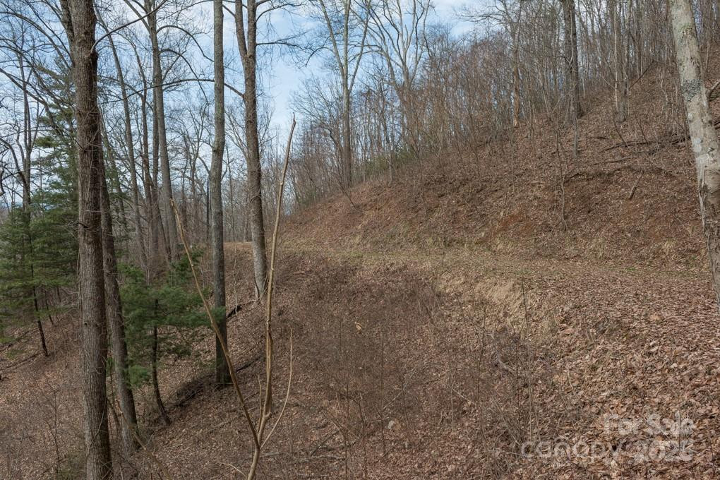 999 Falconwood Lane #20 and 21 - Photo 8