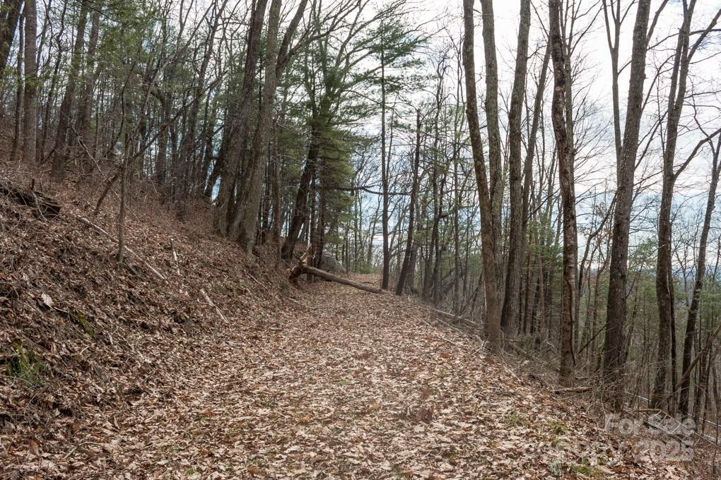 999 Falconwood Lane #20 and 21 - Photo 10