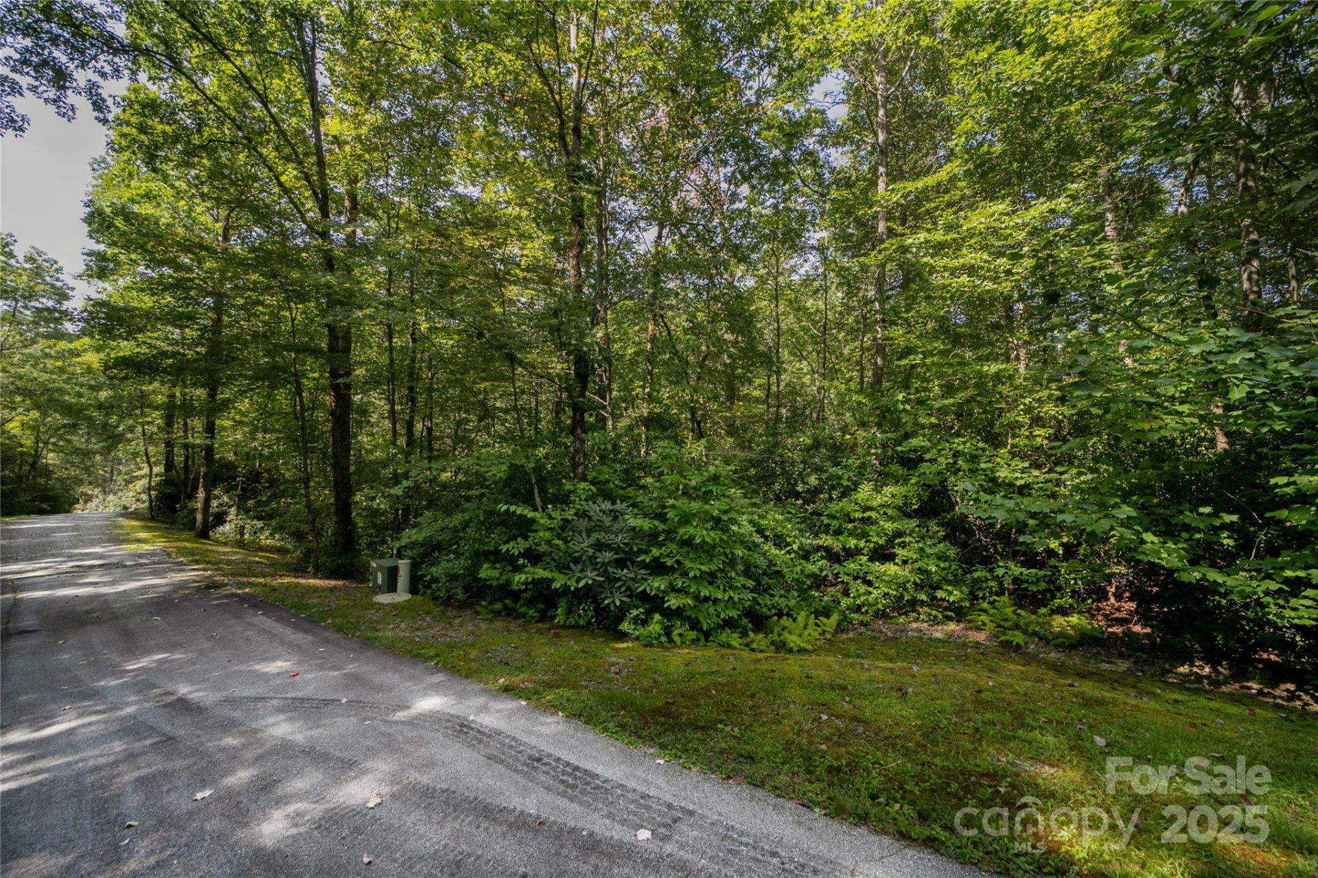 Lot 7 Sweetwater Ridge Road #7 - Photo 2