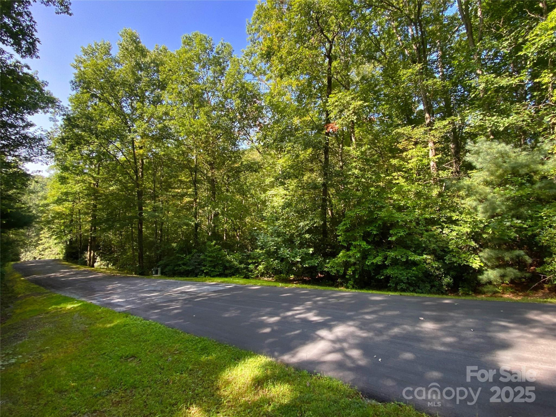 Lot 7 Sweetwater Ridge Road #7 - Photo 4