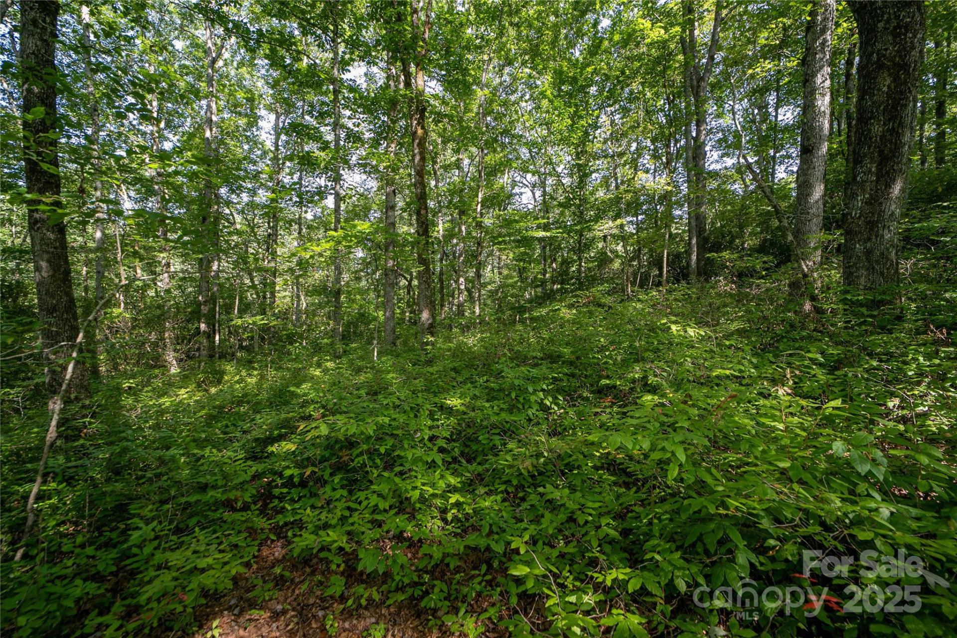 Lot 8 Sweetwater Ridge Road #8 - Photo 4