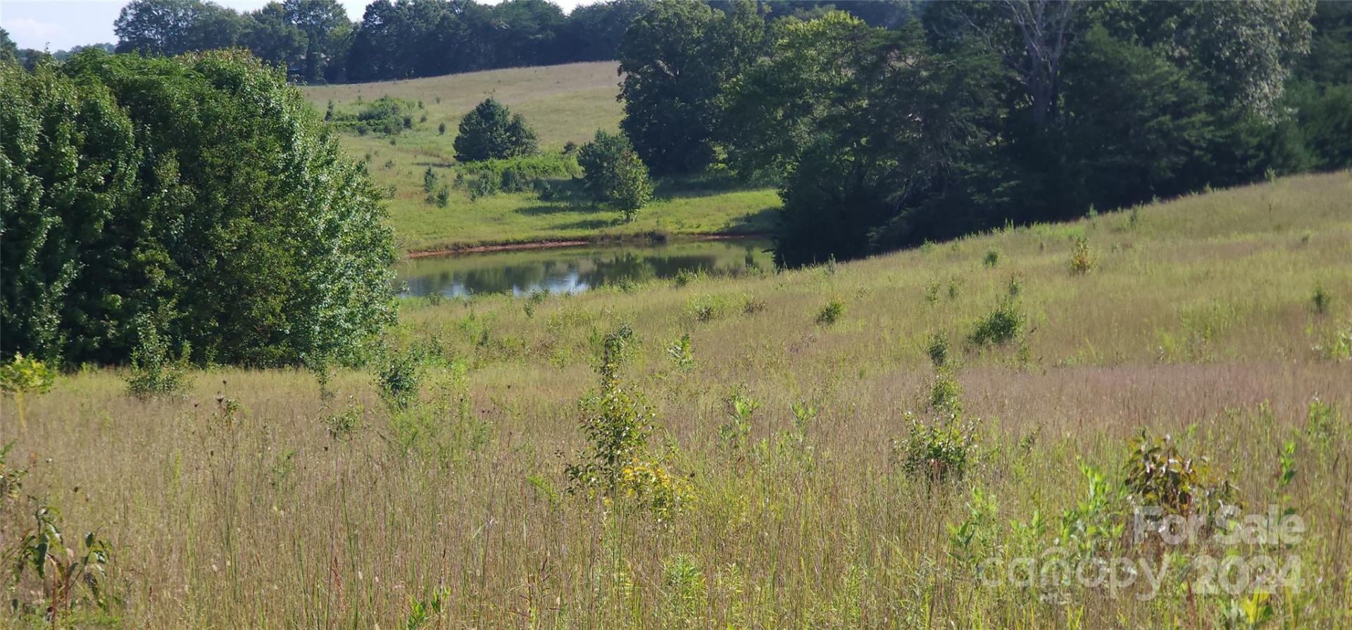 Lot 20 AR Thompson Road #20 - Photo 14