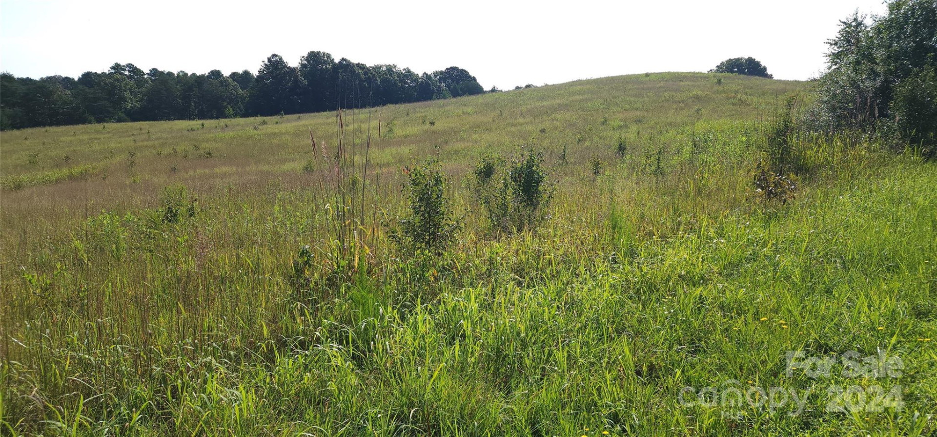 Lot 20 AR Thompson Road #20 - Photo 15