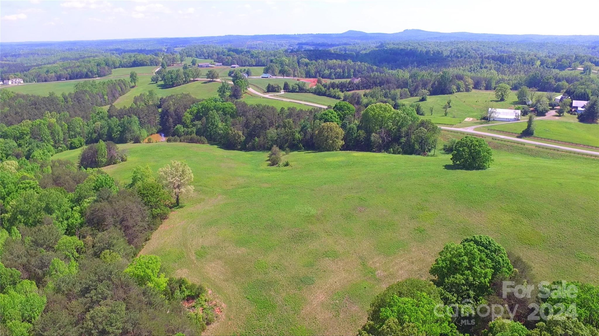 Lot 20 AR Thompson Road #20 - Photo 10