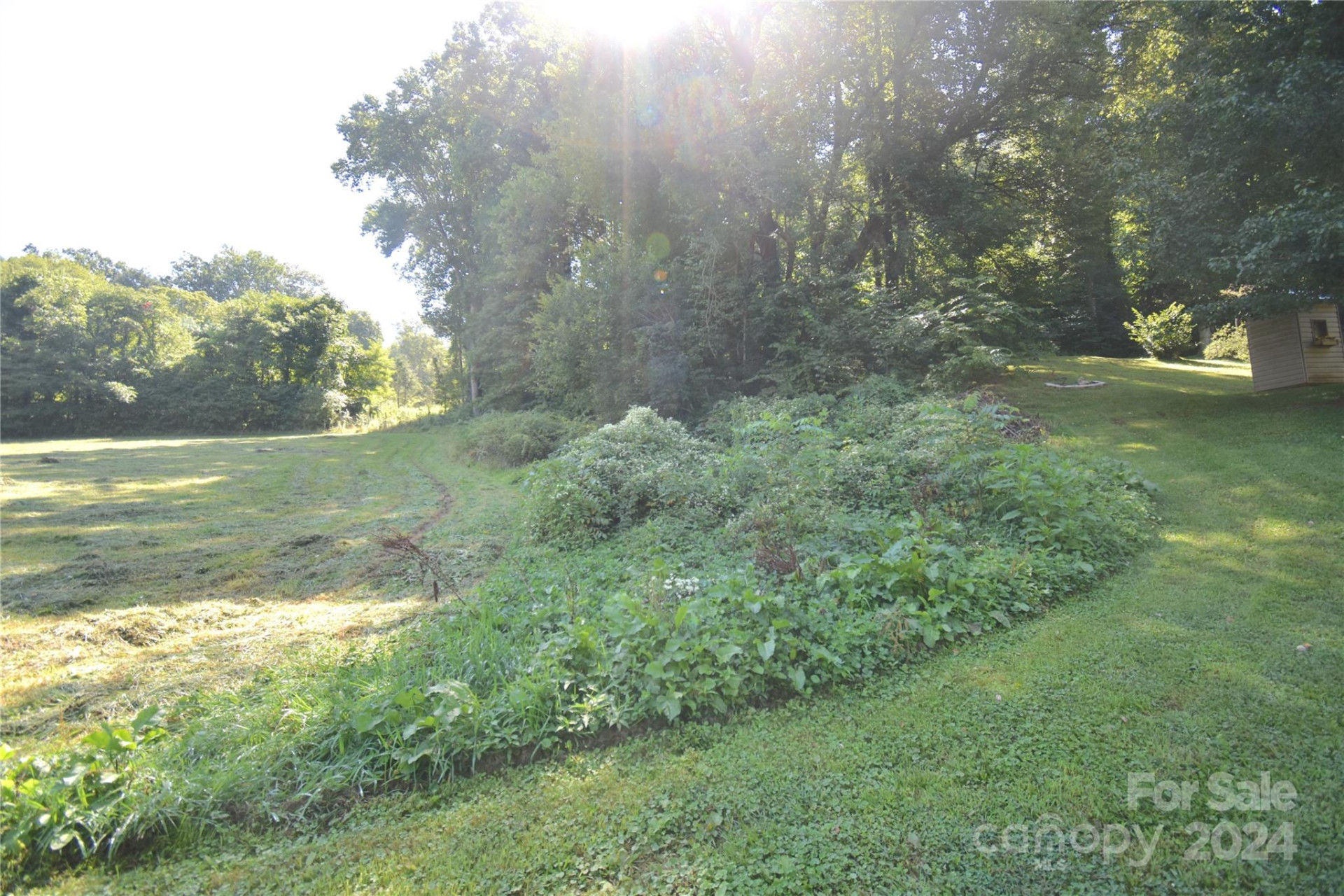 0 Alex Trail - Photo 2