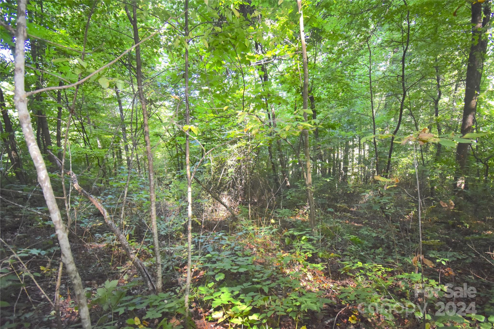 0 Alex Trail - Photo 11