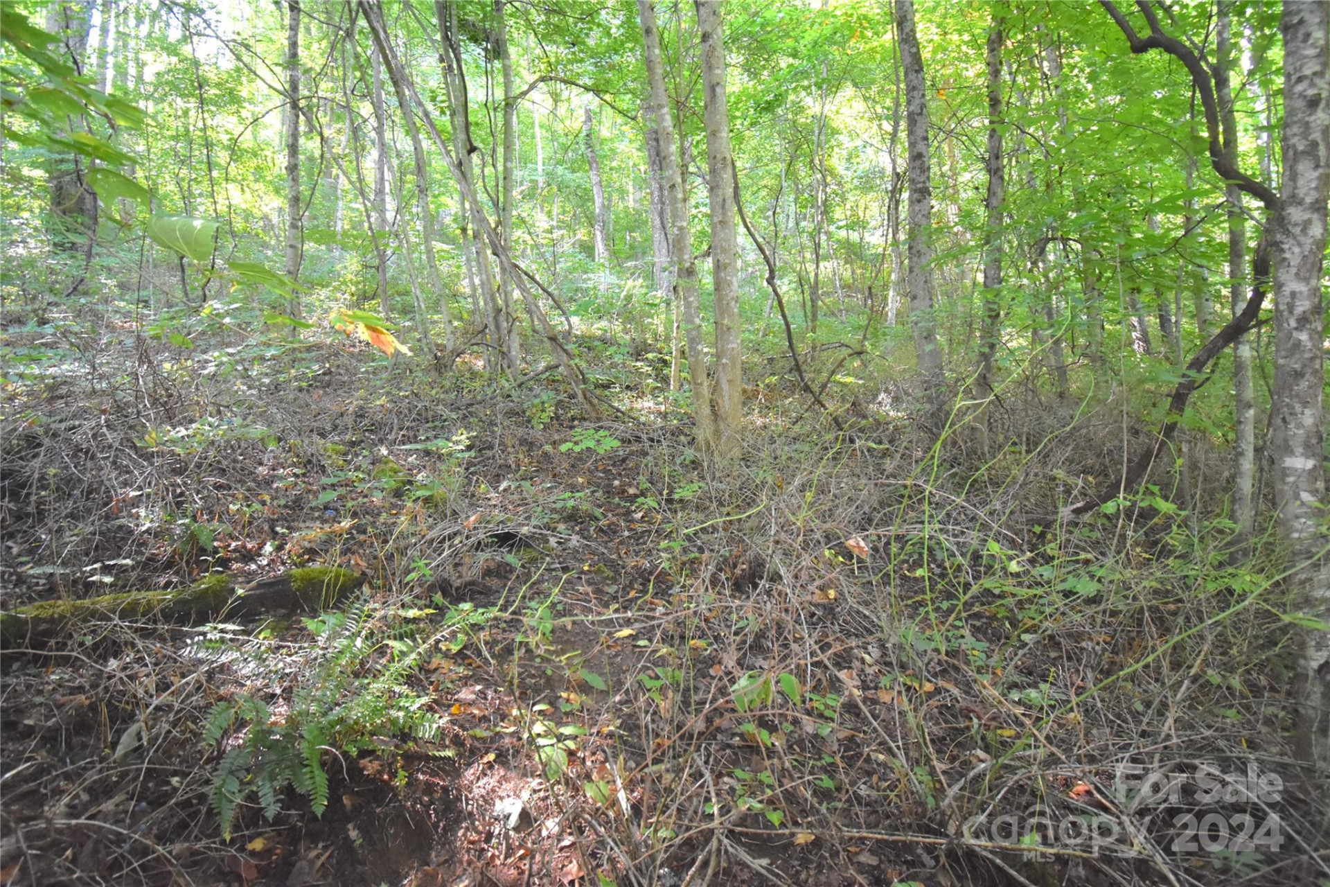 0 Alex Trail - Photo 13