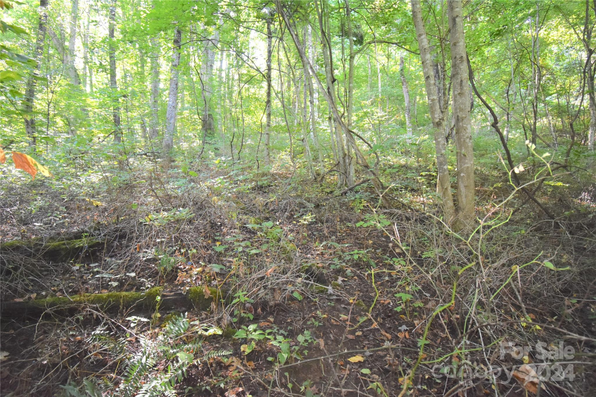 0 Alex Trail - Photo 14