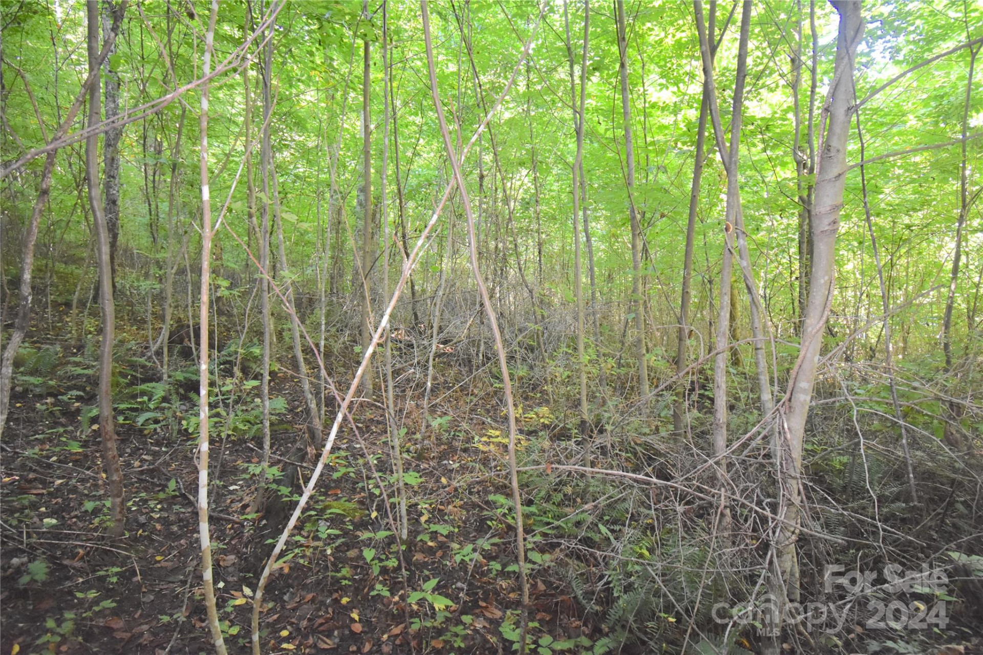 0 Alex Trail - Photo 15