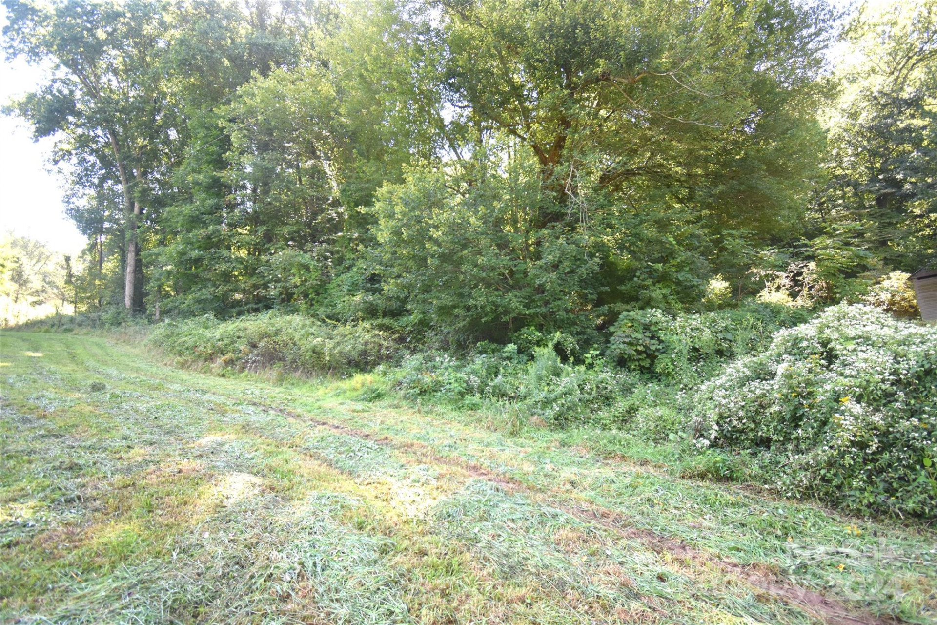 0 Alex Trail - Photo 3