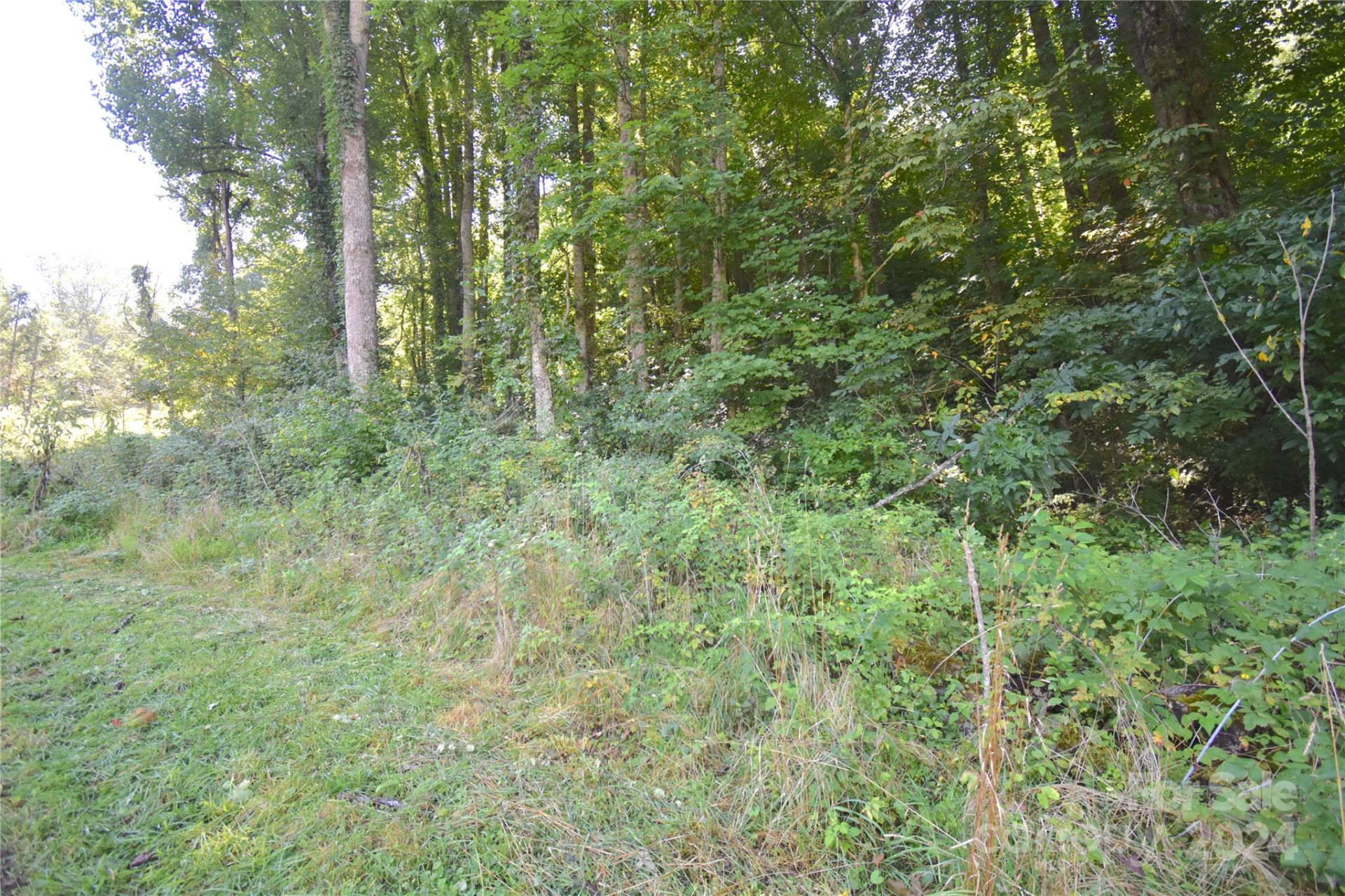 0 Alex Trail - Photo 4