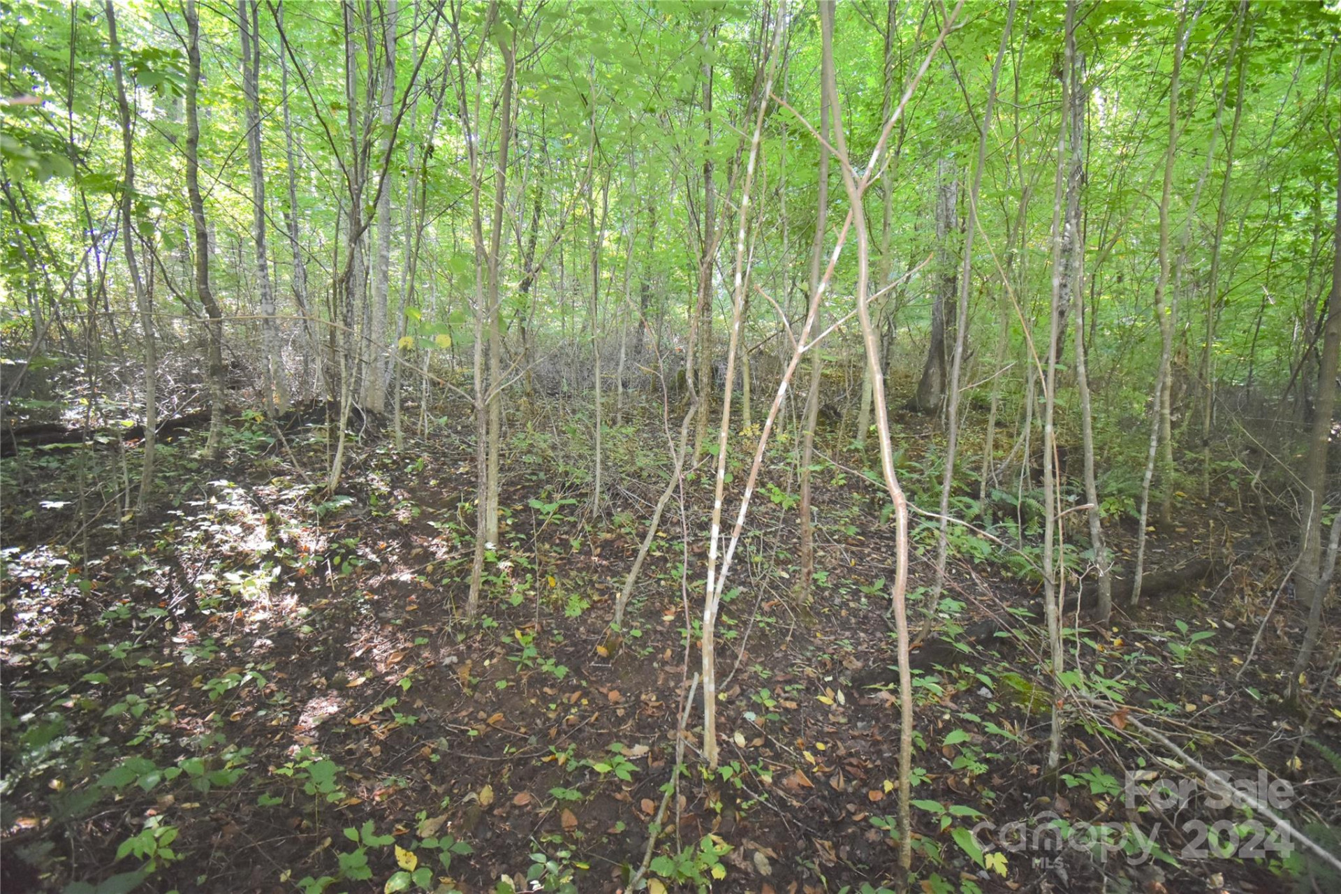 0 Alex Trail - Photo 5