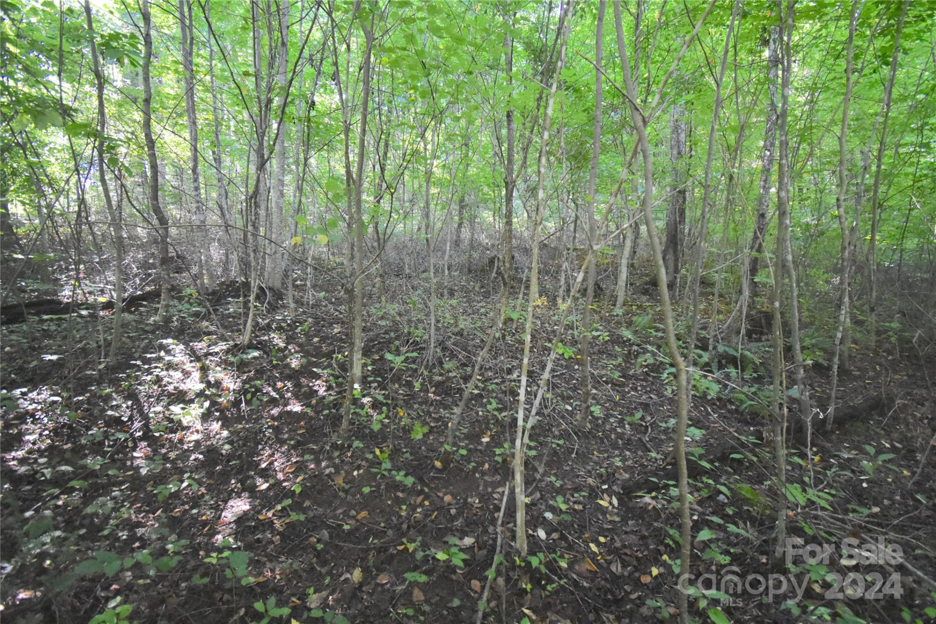 0 Alex Trail - Photo 6