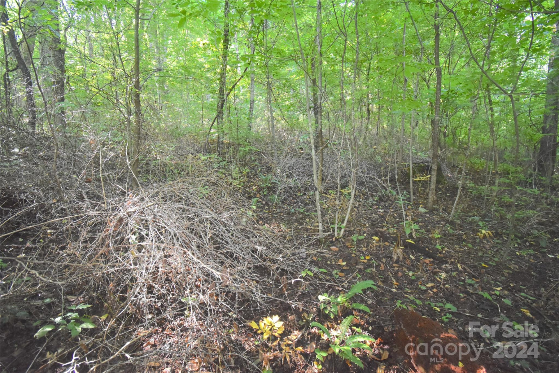 0 Alex Trail - Photo 7
