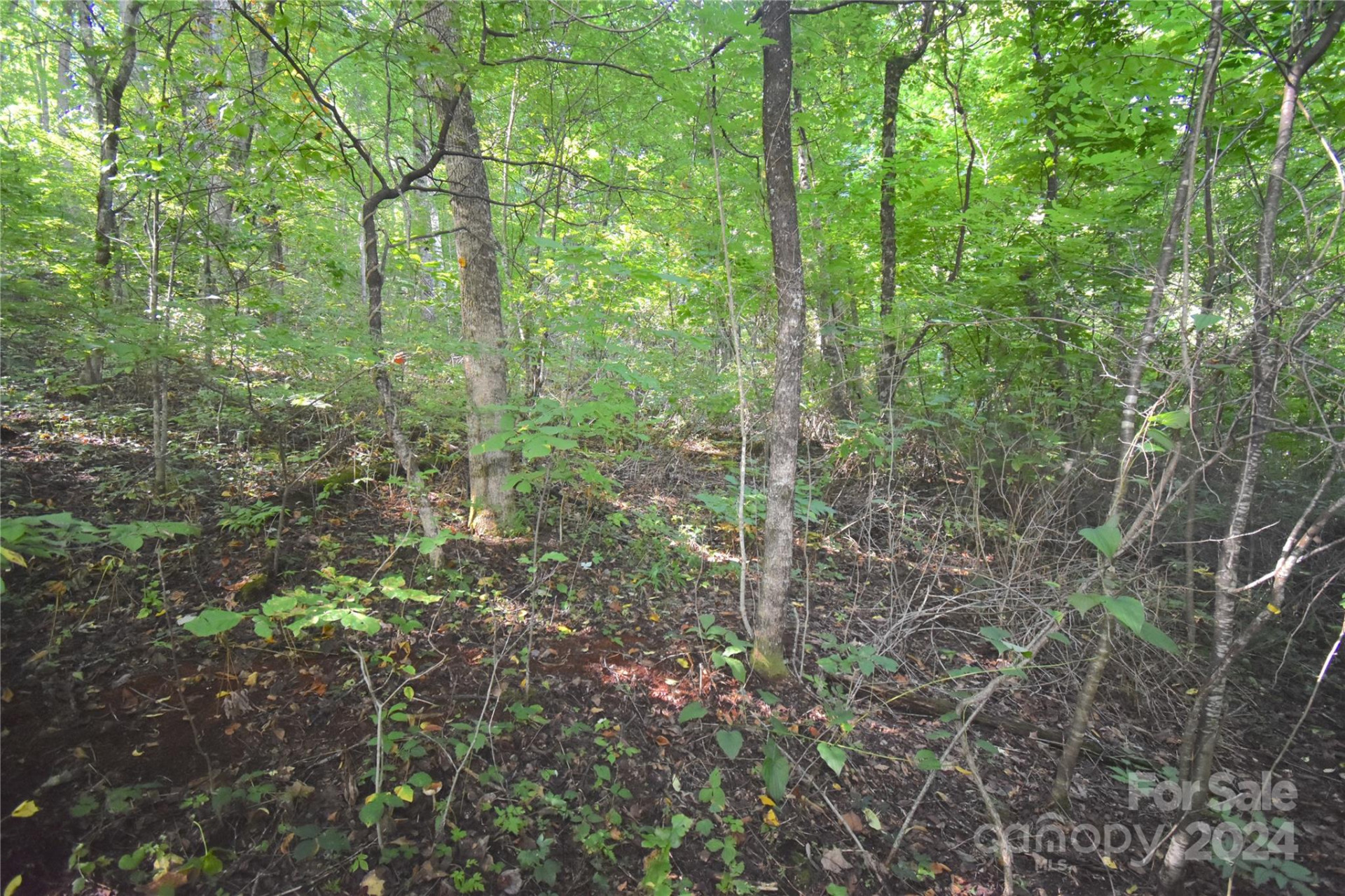 0 Alex Trail - Photo 8