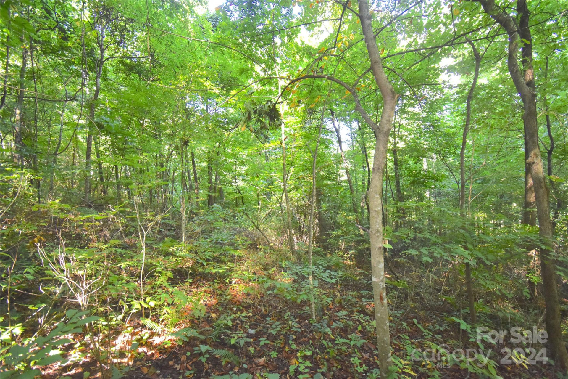 0 Alex Trail - Photo 10