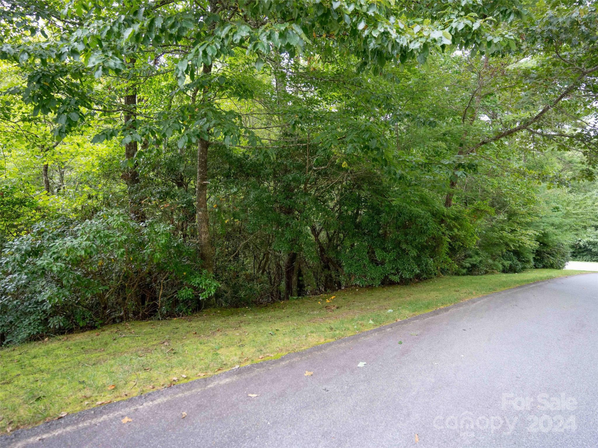 700 Blackgum Court #344 - Photo 4