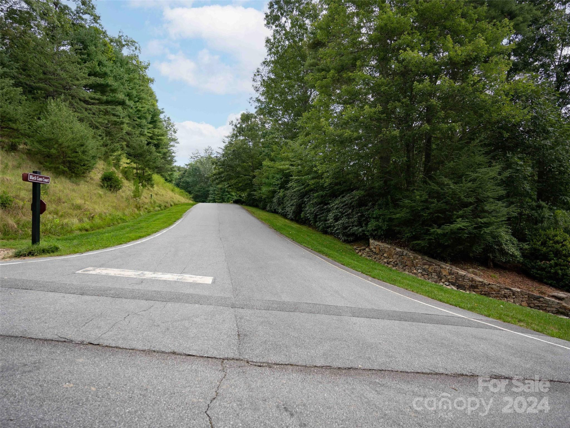 700 Blackgum Court #344 - Photo 6