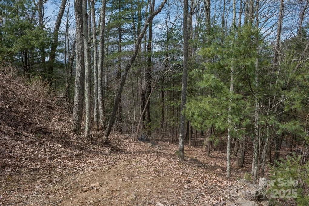999 Falconwood Lane #25 - Photo 2