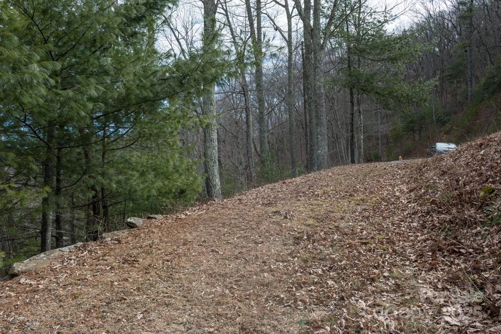 999 Falconwood Lane #25 - Photo 3