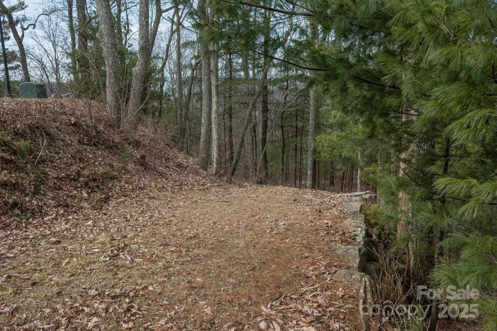 999 Falconwood Lane #25 - Photo 4
