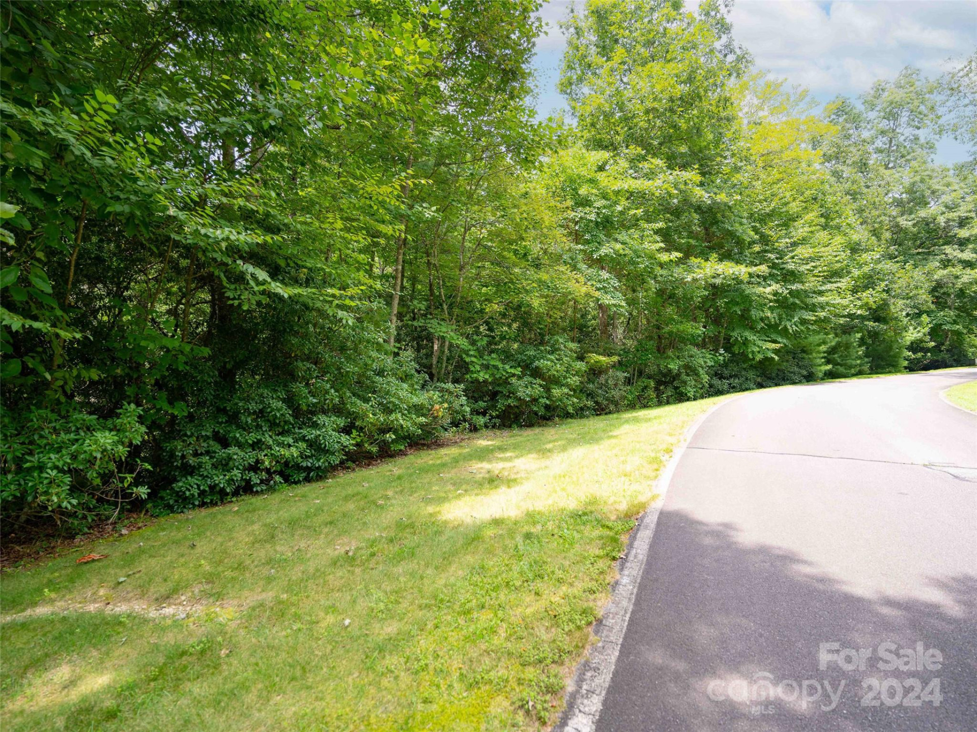 809 Mountain Ivy Lane #352,353,354,part 355 - Photo 6