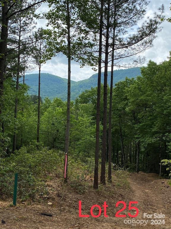 25 Monteith Place - Photo 2