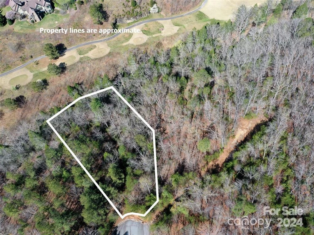25 Monteith Place - Photo 4