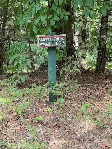 #25 Oleta Mill Trail, Dana, NC, 28792