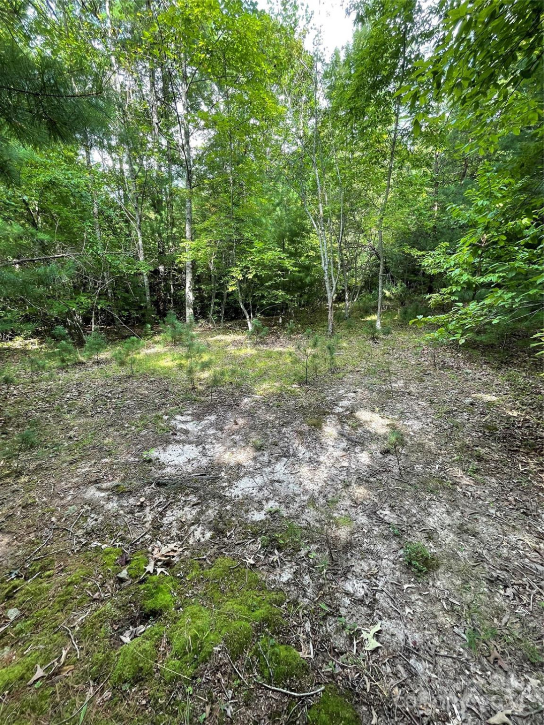 #25 Oleta Mill Trail - Photo 2