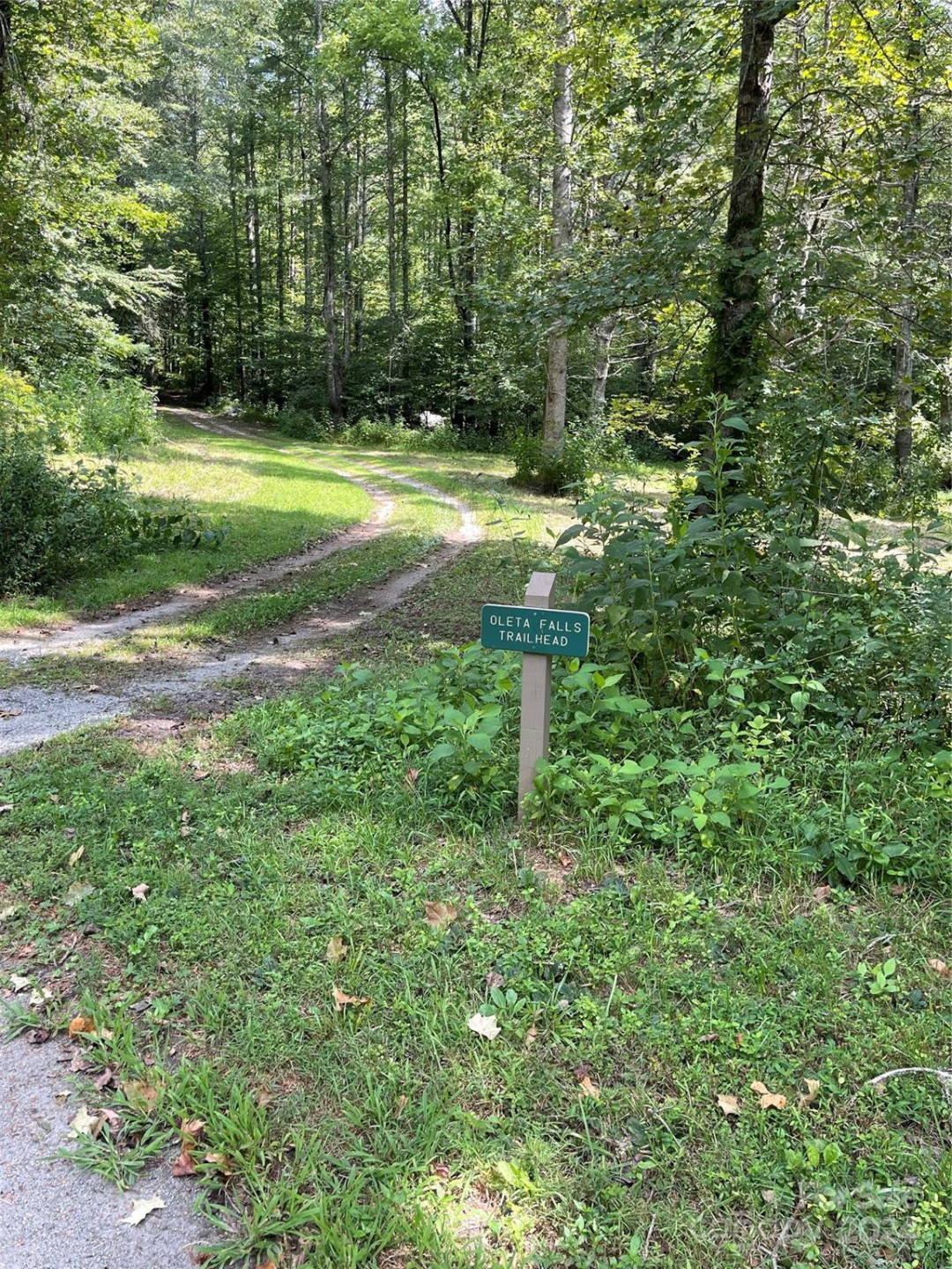 #25 Oleta Mill Trail - Photo 11