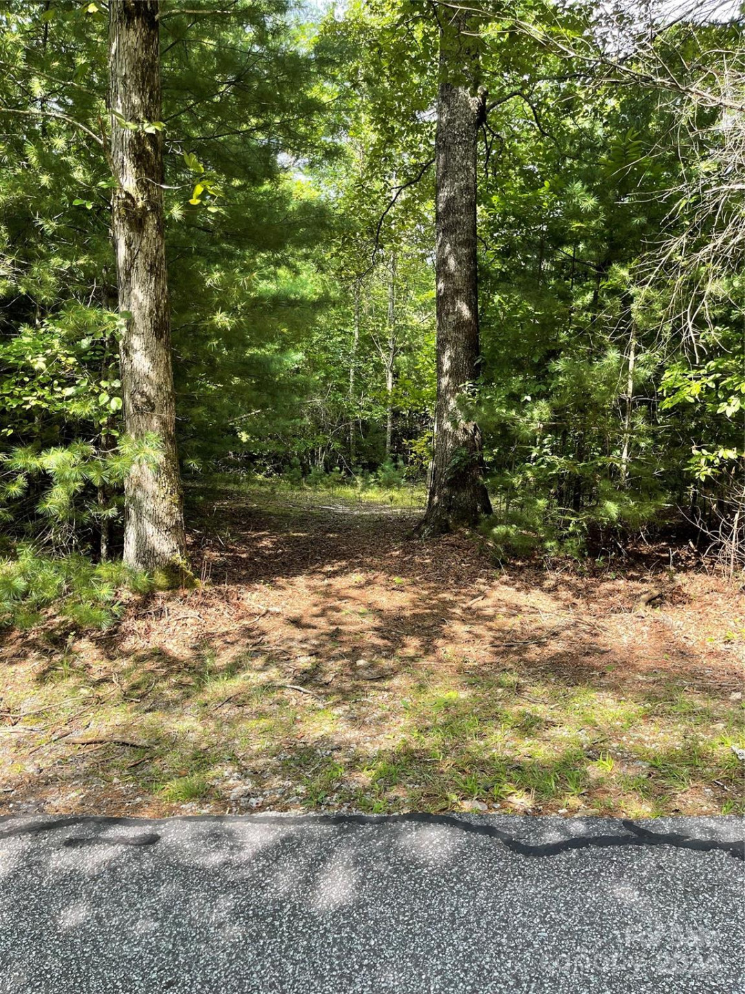 #25 Oleta Mill Trail - Photo 3