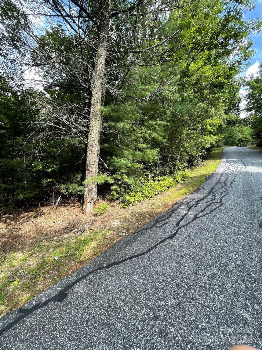 #25 Oleta Mill Trail - Photo 4