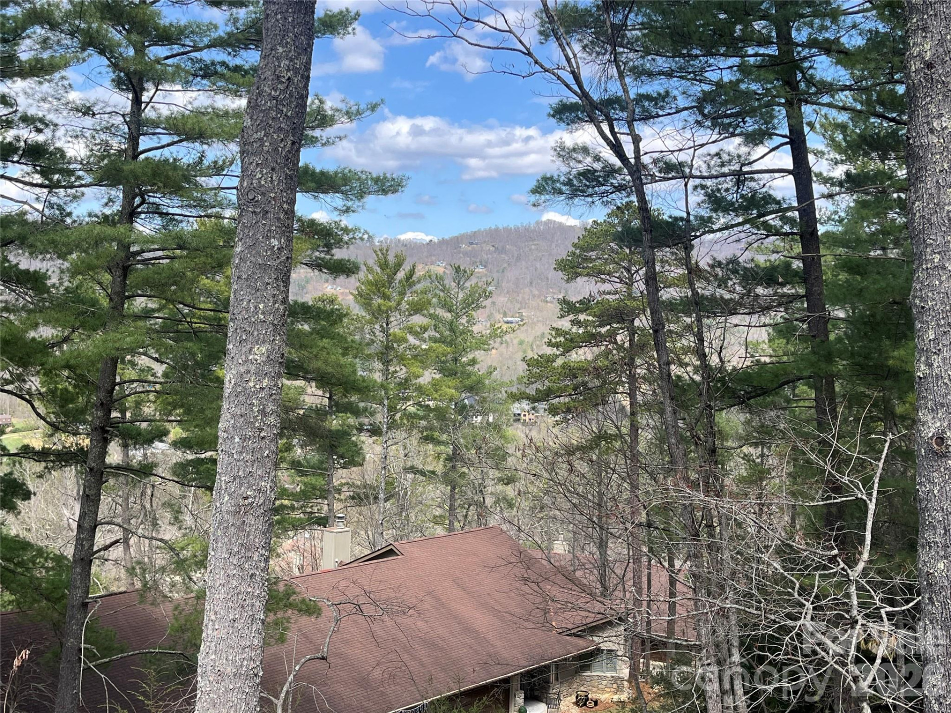 2902 Timber Trail - Photo 18