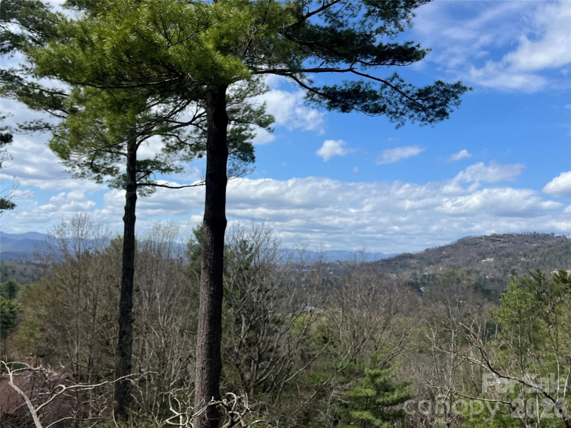 2902 Timber Trail - Photo 19