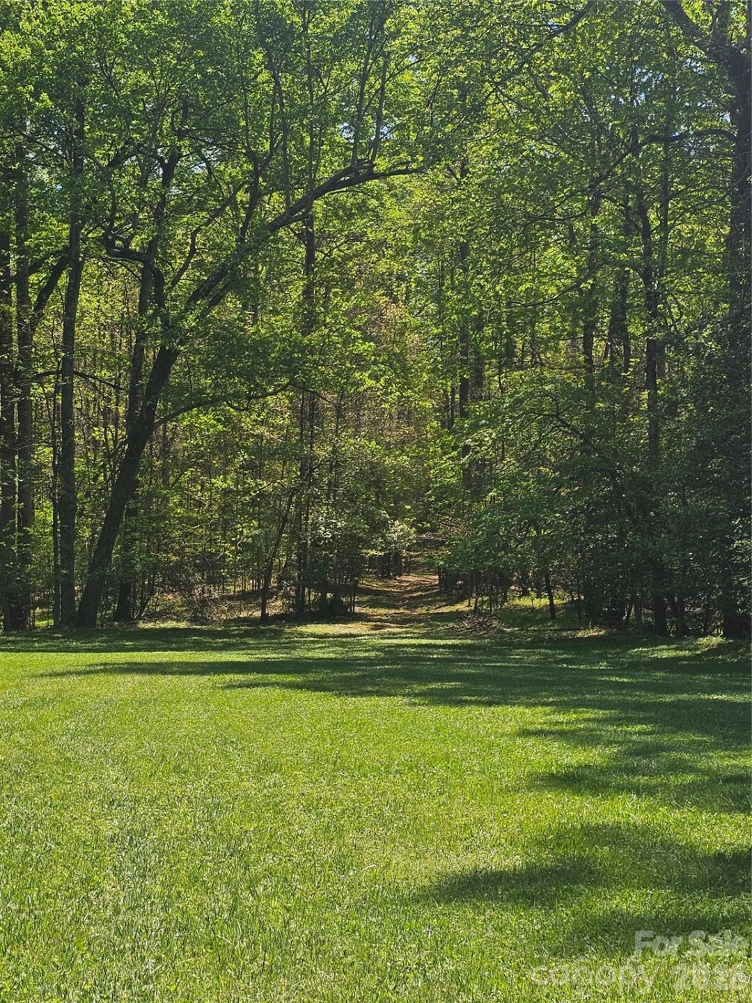 1104 old HWY 60 Highway - Photo 22