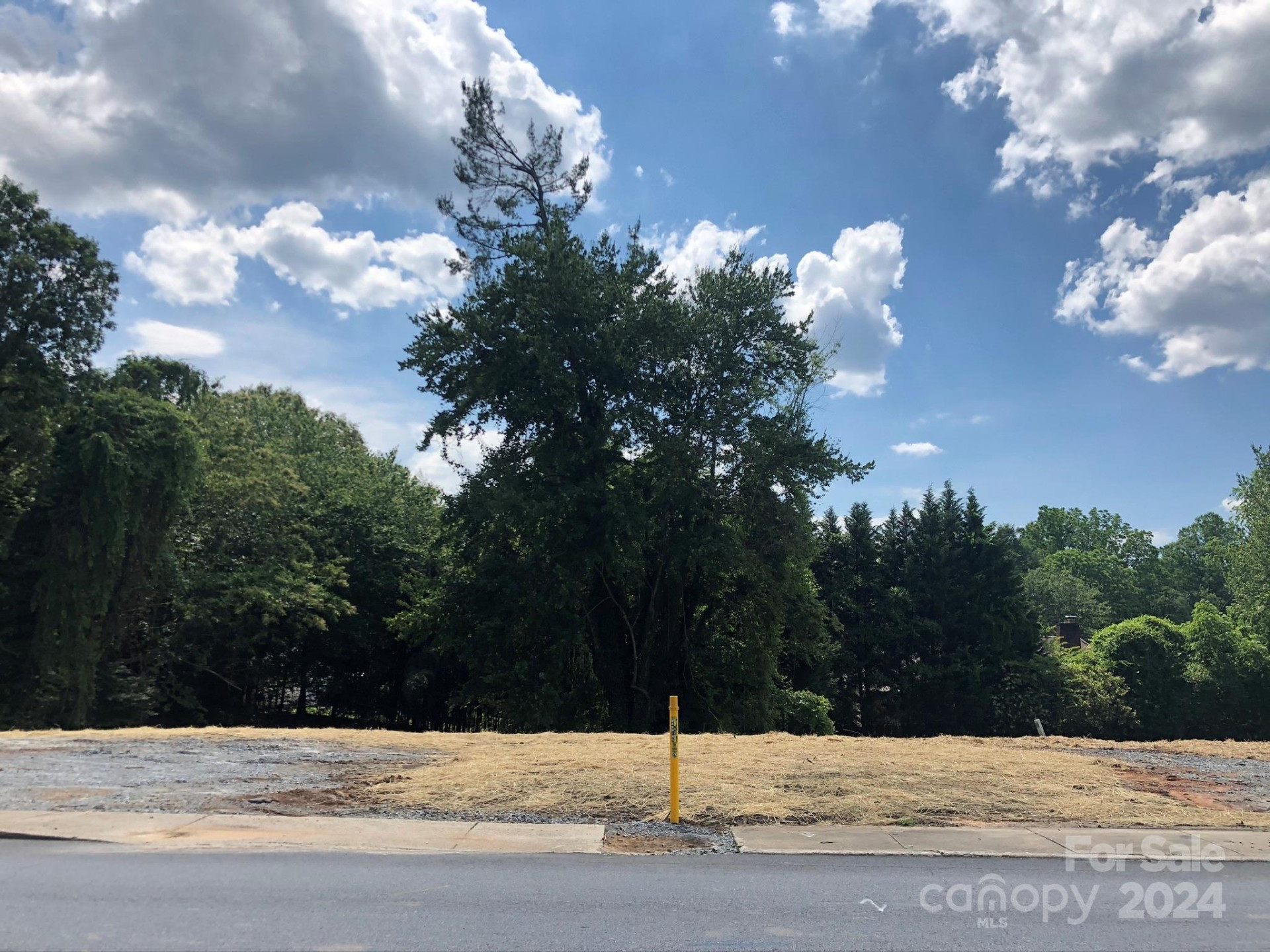 903 Fleming Street - Photo 2