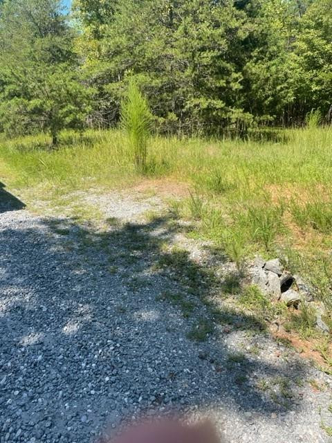 0 Zackary Lane #39 - Photo 11