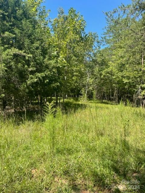 0 Zackary Lane #39 - Photo 12