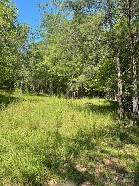 0 Zackary Lane #39 - Photo 13