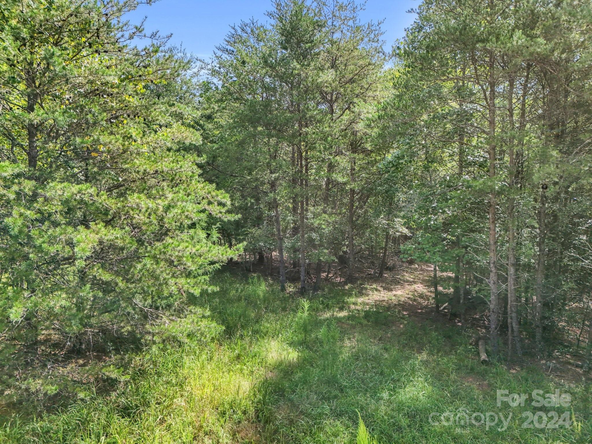 0 Zackary Lane #39 - Photo 14