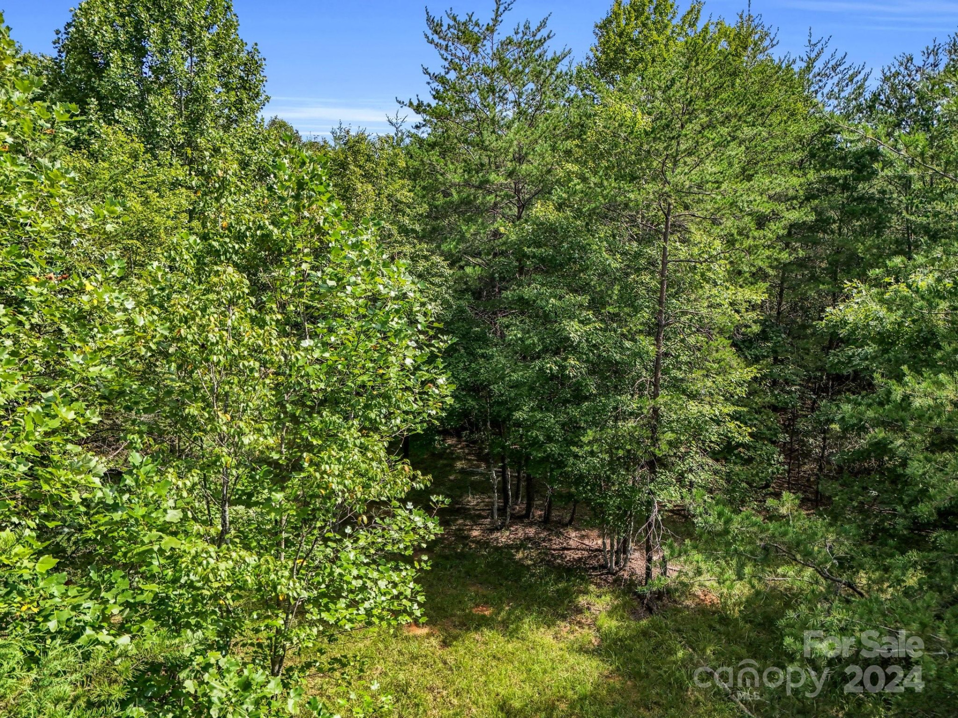 0 Zackary Lane #39 - Photo 15