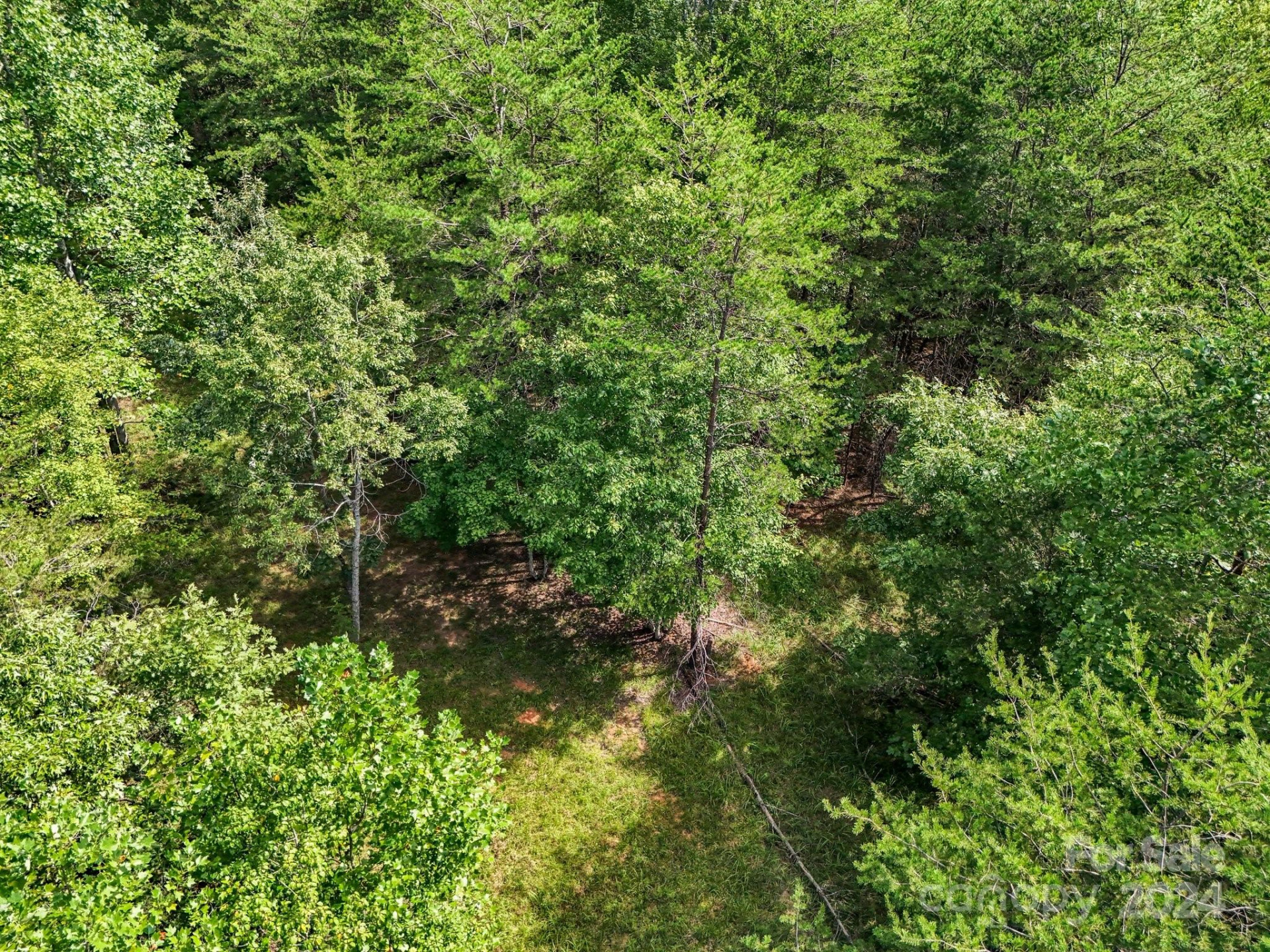 0 Zackary Lane #39 - Photo 16