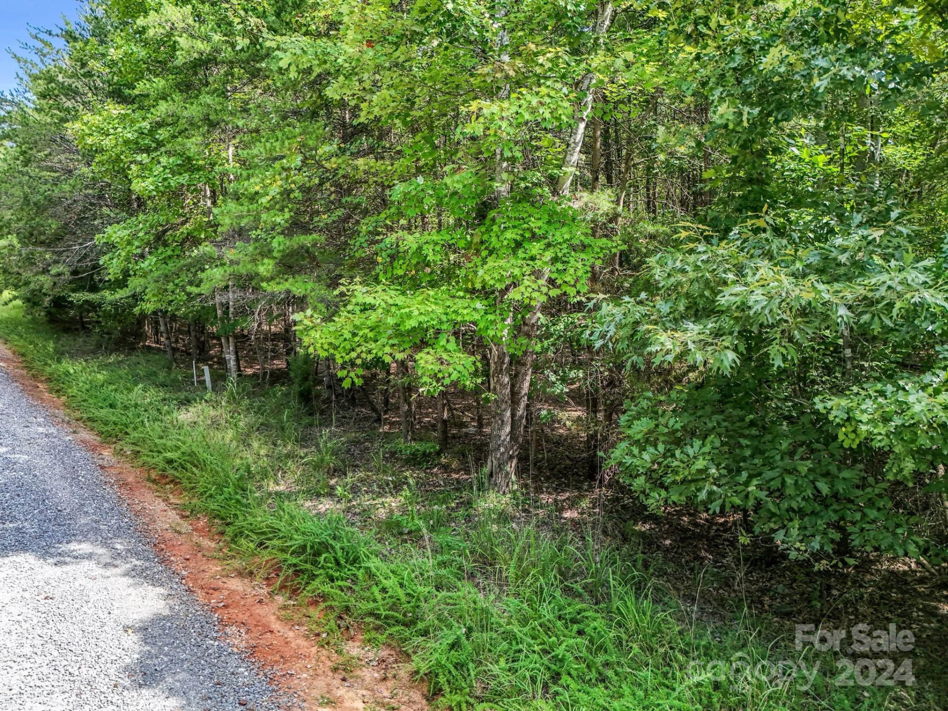 0 Zackary Lane #39 - Photo 8