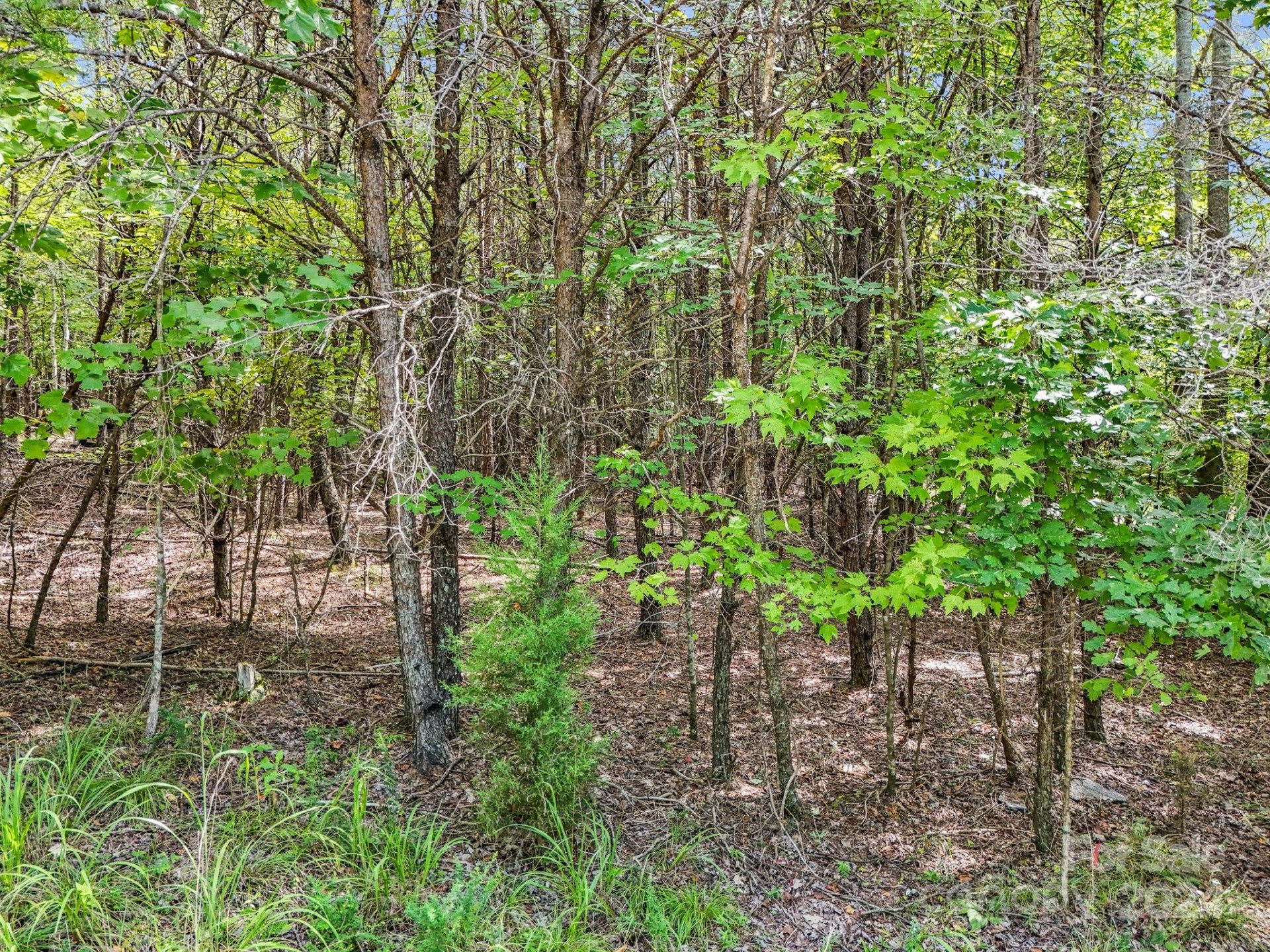 0 Zackary Lane #39 - Photo 10