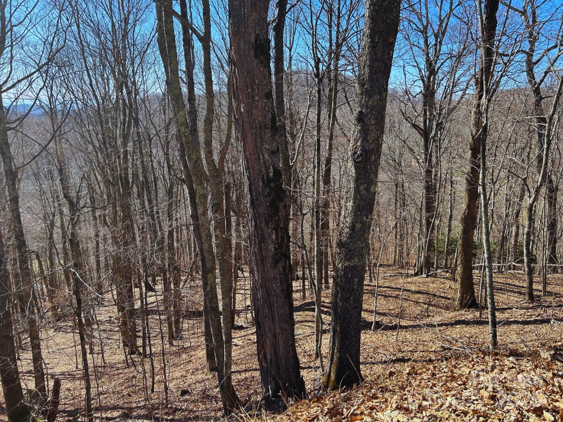 692 Oak Ridge Lane #692