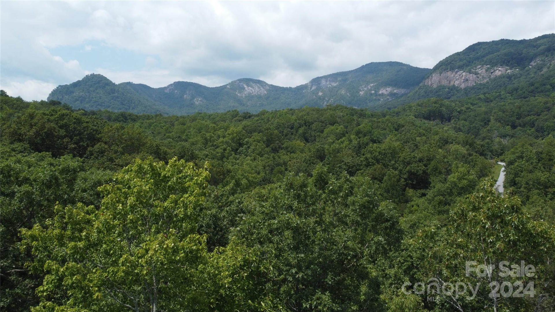 0 Mintwood Court #12 - Photo 2