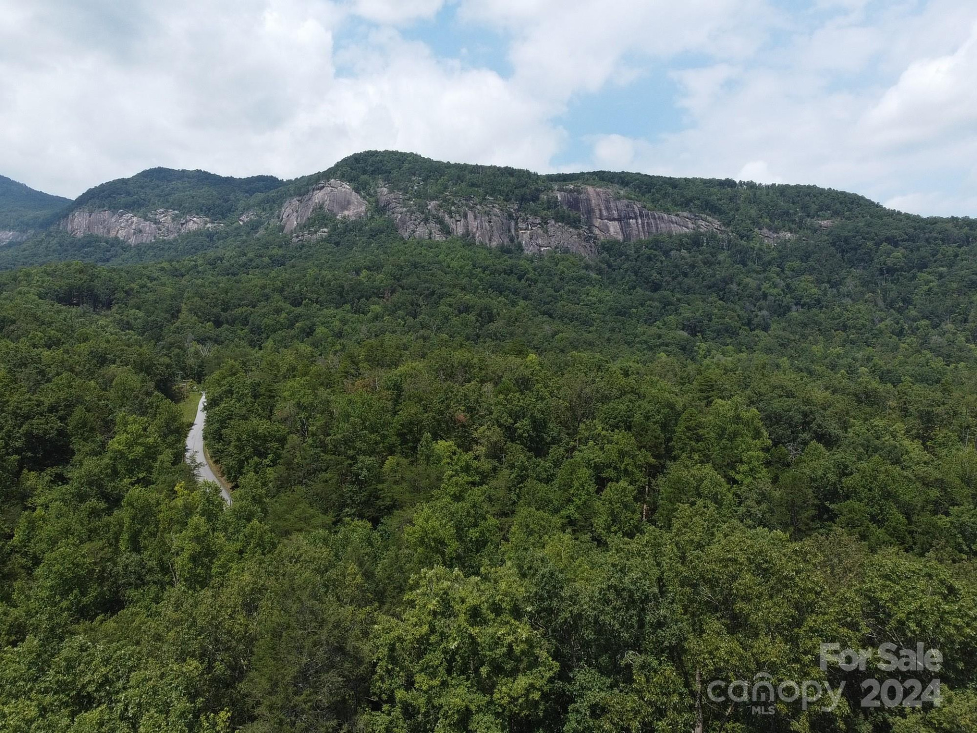 0 Mintwood Court #12 - Photo 11