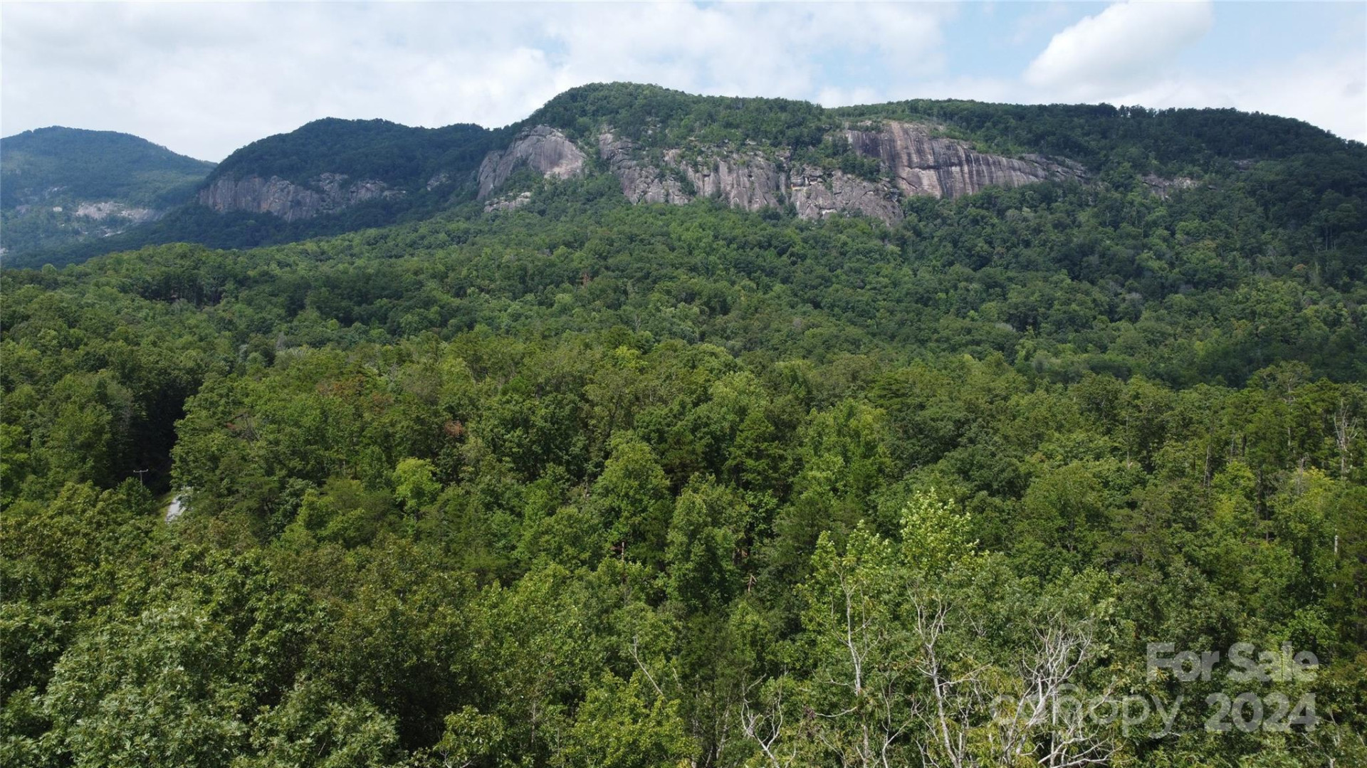 0 Mintwood Court #12 - Photo 3