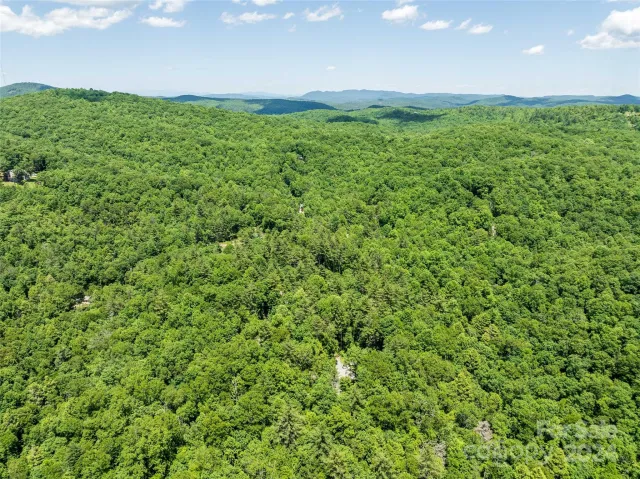 78 Smiling Fox Trail